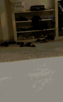 a bunch of shoes are laying on the floor in front of a shelf