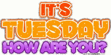 Its Tuesday How Are You GIF - Its Tuesday How Are You GIFs