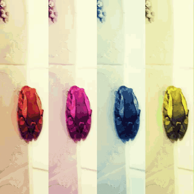 four different colored hooks are on a wall