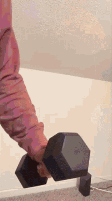 a person in a pink shirt is holding a black dumbbell .