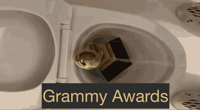a trophy in a toilet with the words grammy awards below it