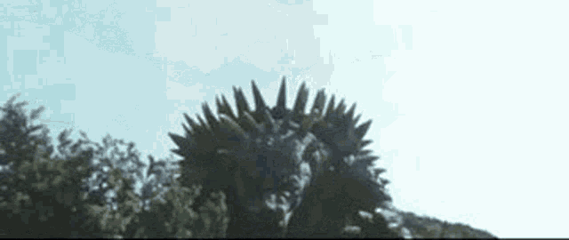 Godzilla Final Wars GIF - Godzilla Final Wars Anguirus GIFs