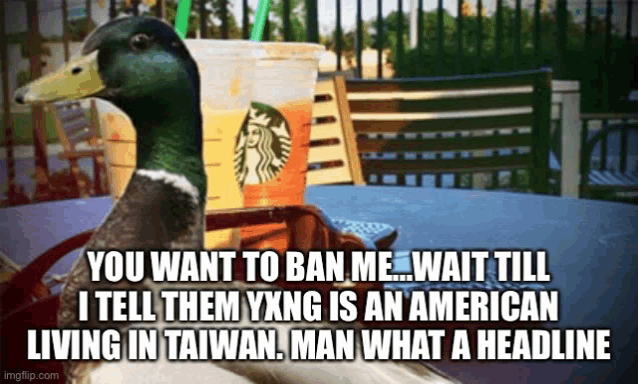 a duck sits at a table next to a starbucks drink