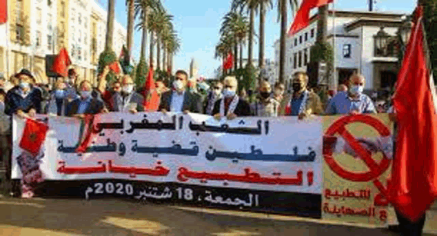 a group of people are holding a sign that says `` no arms '' .