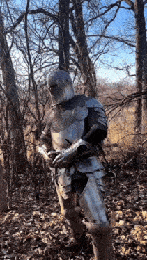 a knight in armor is standing in the woods