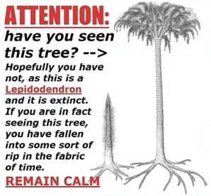 a poster that says attention have you seen this tree hopefully you have not