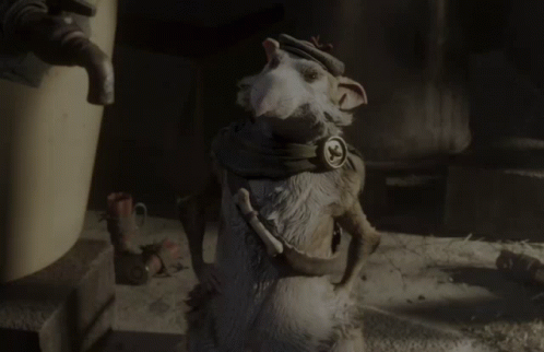 Rat Yes GIF - Rat Yes Thats Right GIFs