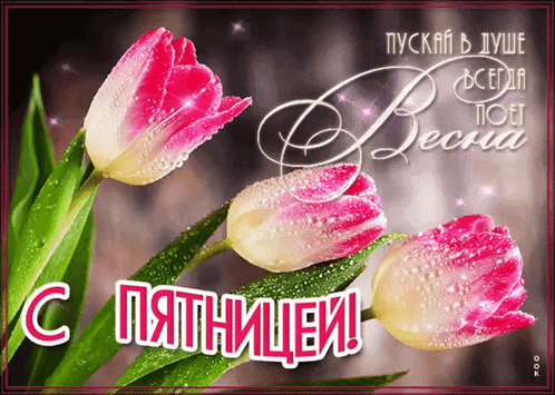a greeting card with pink and white tulips and the words " c пятницеи "