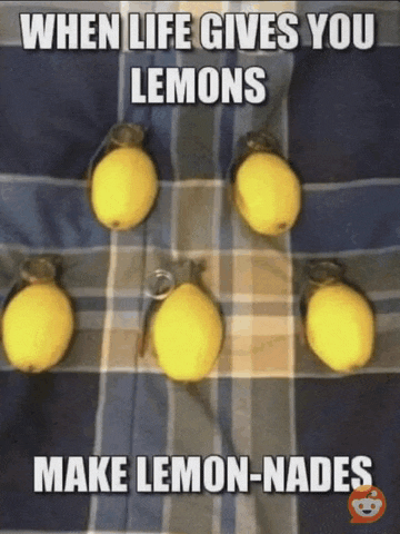 a picture of lemons with a caption that says " when life gives you lemons make lemon-nads "