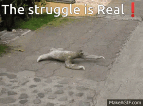 The Struggle Is Real Sloth GIF - The Struggle Is Real Sloth Animal GIFs