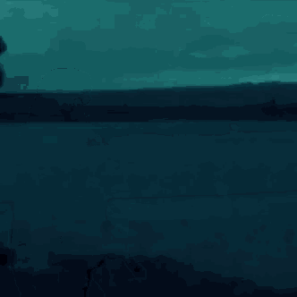a woman is walking in the dark near a lake .