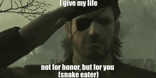 I Give My Life Not For Honor GIF - I Give My Life Not For Honor But For You GIFs