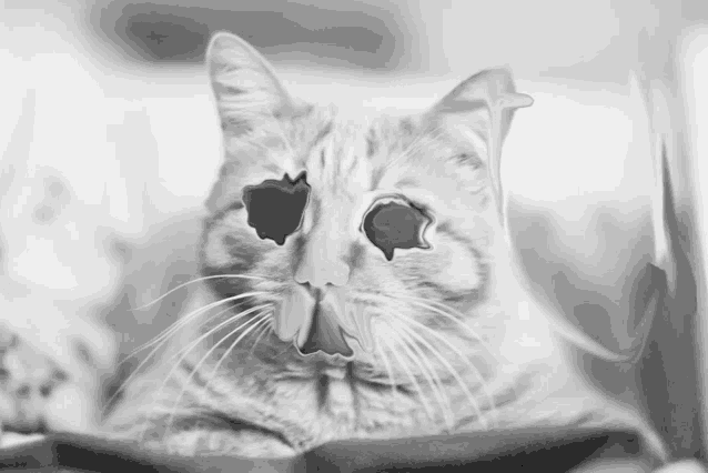 a black and white photo of a cat with a hole in its eyes