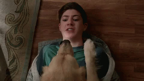 Trapped GIF - Speechless Dog Drool GIFs