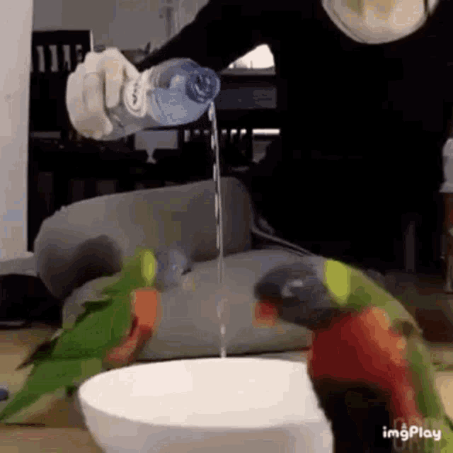 a woman is pouring water from a bottle into a bowl .