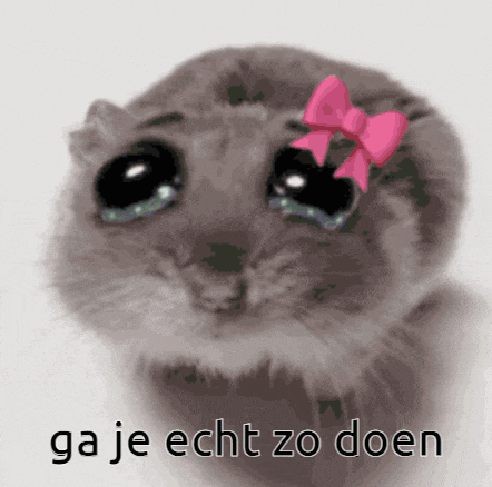 a hamster with a pink bow on its head and the words ga je echt zo doen