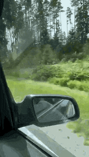 a car is driving down a road with trees behind it