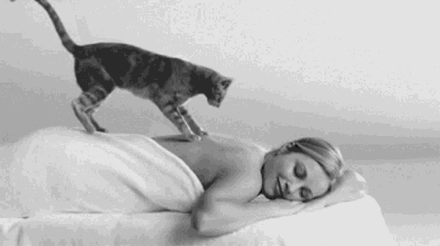 Cat Woman GIF - Cat Woman Massage GIFs