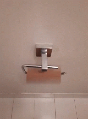 Roll Toilet Paper GIF - Roll Toilet Paper Reload GIFs