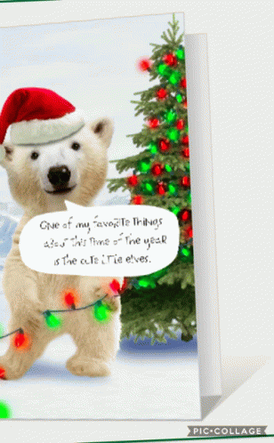 Xmas Bear GIF - Xmas Bear GIFs