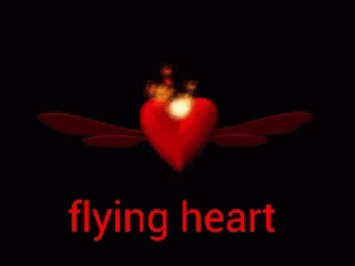 Flying Heart Boulenin GIF - Flying Heart Boulenin Beauga GIFs