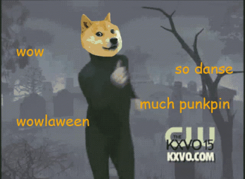 Halloween Doge GIF - Halloween Doge Much Pumpkin GIFs