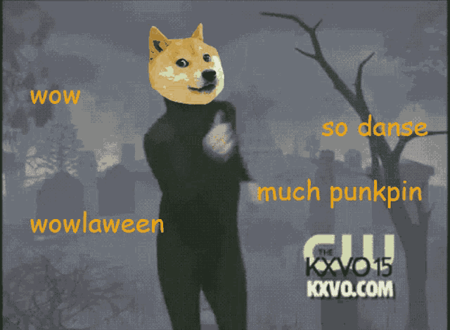 a doge with the words wow wow laween and so danse much punkpin on the bottom