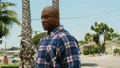 a man in a plaid shirt is standing in front of a palm tree in a park .