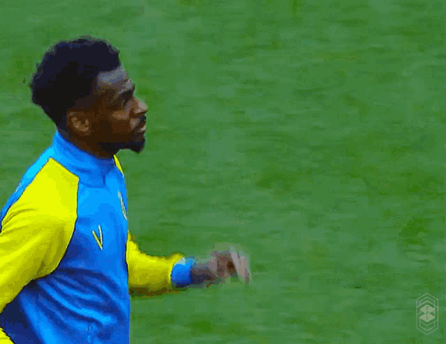 a man in a blue and yellow jacket stands on a soccer field