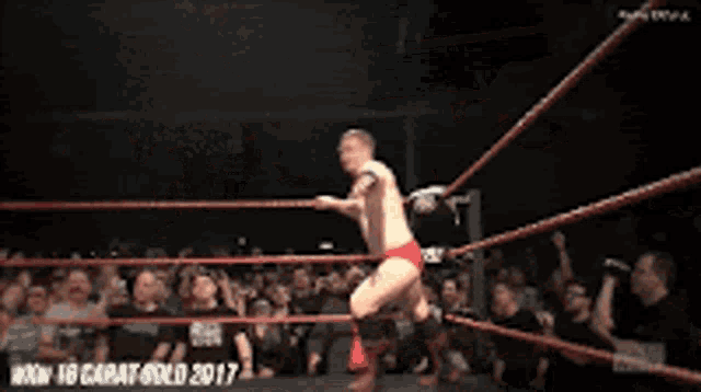 a man in a wrestling ring with the words now 18 carat gold 2017 at the bottom