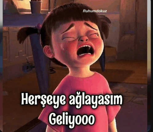 a cartoon girl is crying with the words herseye aglayasim geliyooo written below her