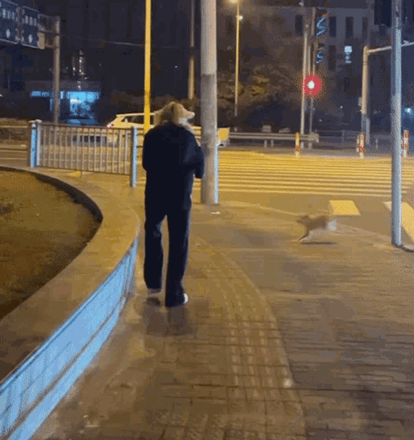 a person walking down a sidewalk with a dog