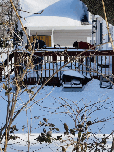 a person standing on a snow covered deck looking at a bird feeder