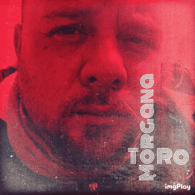 Toro Morgana GIF - Toro Morgana Toro Morgana GIFs