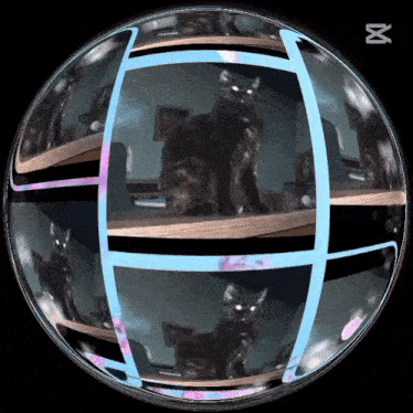 a cat is sitting on a table in a sphere with a x on the bottom
