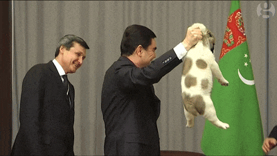 a man in a suit holds a small dog in front of a green flag