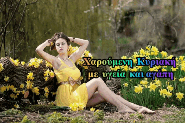 a woman in a yellow dress is sitting in a field of flowers