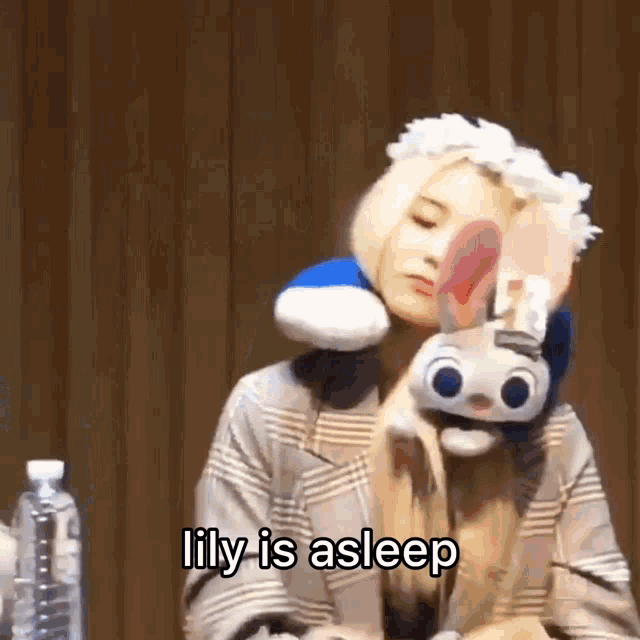 a woman is holding a stuffed animal with the words `` lily is asleep '' written next to her .