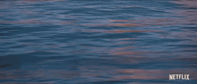 a painting of a city by the water with netflix written in the corner