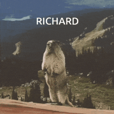 a groundhog stands on its hind legs in front of a mountain with the name richard on the bottom