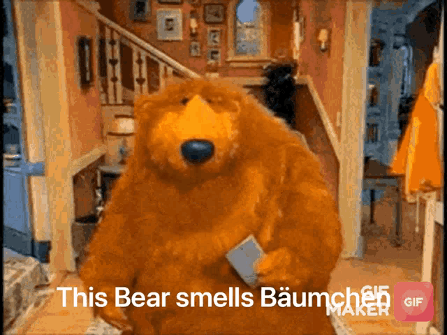 Bear Smell GIF - Bear Smell Baum GIFs
