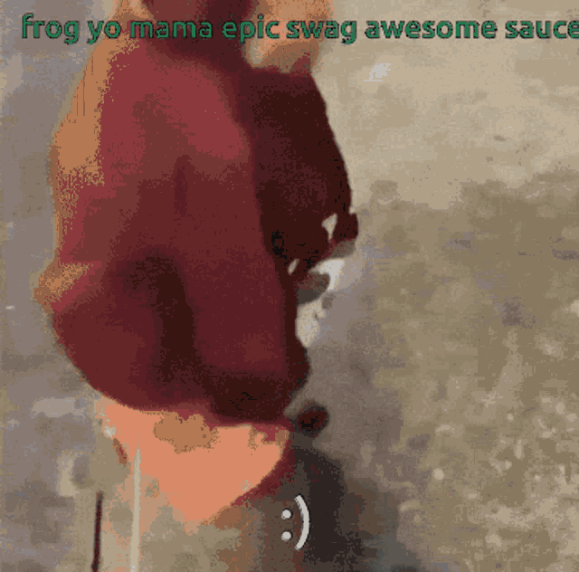 frog yo mama epic swag awesome sauce is written on a gray background