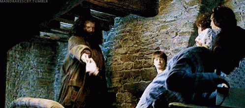 That'S What You Get GIF - Harry Potter Hagrid Pig Tail GIFs