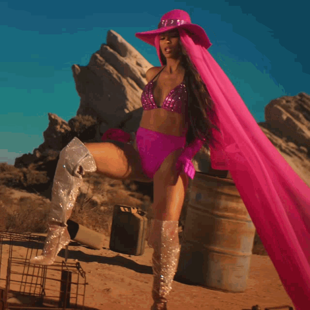 a woman in a pink bikini and cowboy hat is standing in the desert