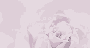 a close up of a pink rose with the words bloom and it 's true baby i 've been saving this for you