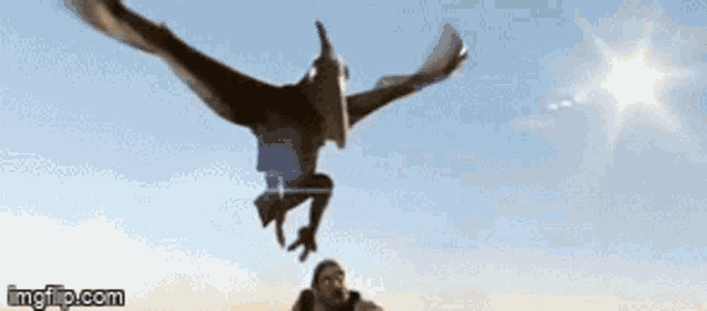 a large bird is flying over a man 's head with the sun in the background .