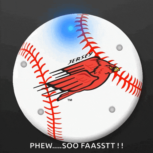 a jersey baseball with a red cardinal on the ball