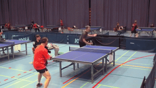 Harder To Find Than A Golden Snitch GIF - Ping Pong Misdirection GIFs