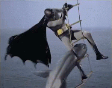 The Strugs GIF - Shark Dolphin Batman GIFs