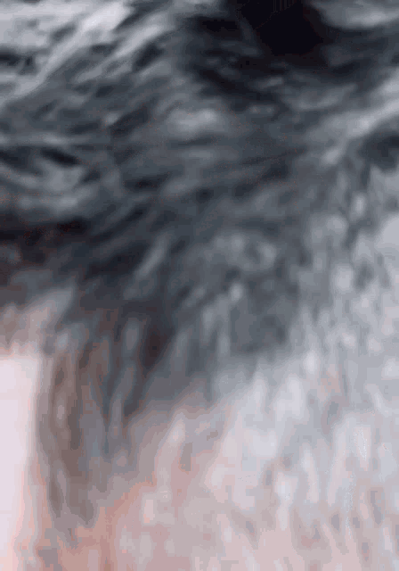a close up of a person 's hair with a gray and white gradient